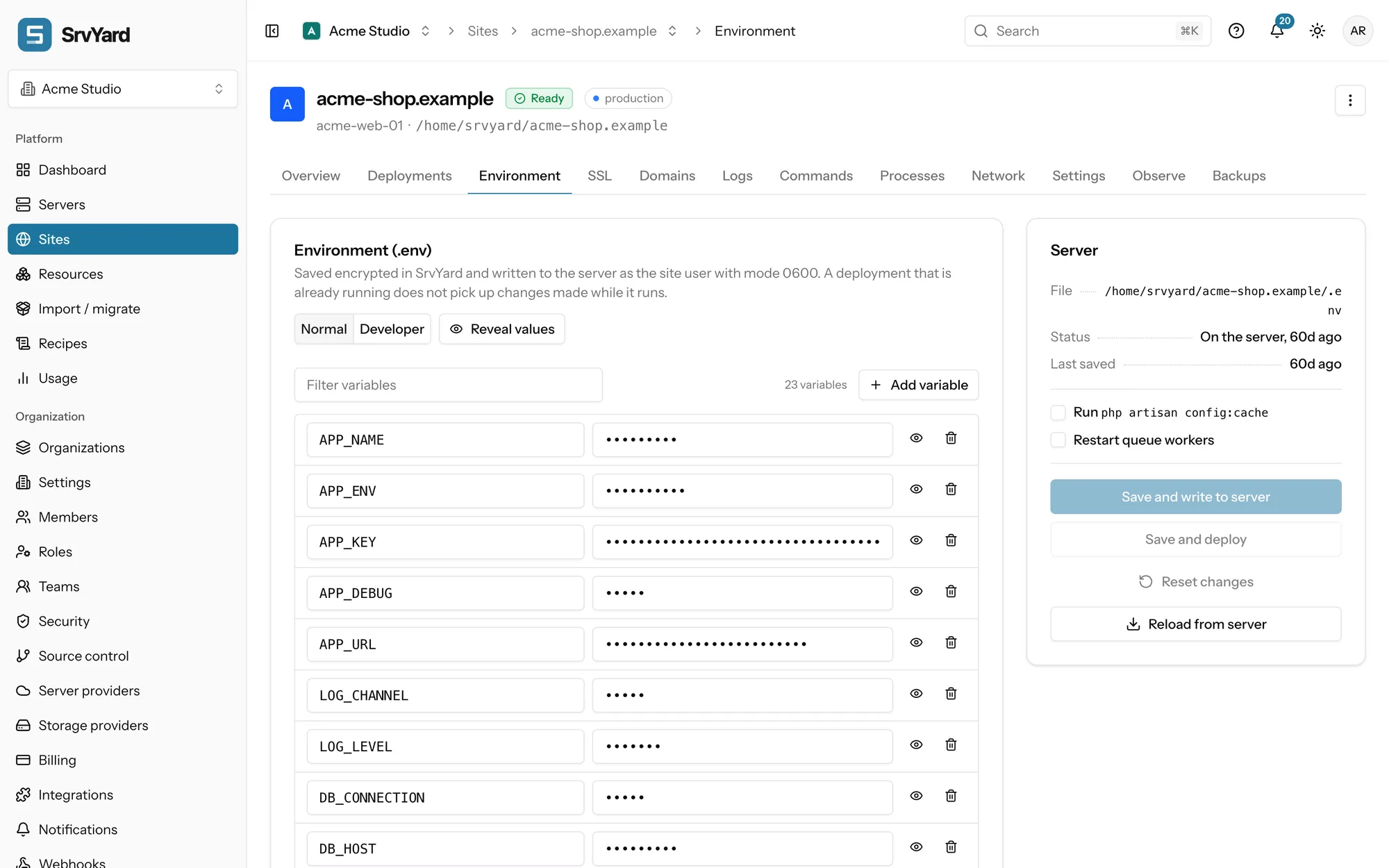 Environment tab of a site: variable rows with masked values and the save options beside them
