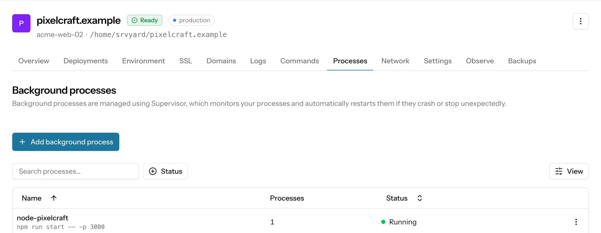 The Processes tab of a Next.js site with the node process of the site running, and the Scheduled jobs card below